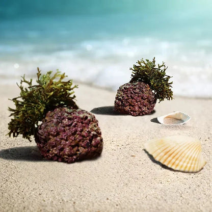 AlgaeCal Plus
